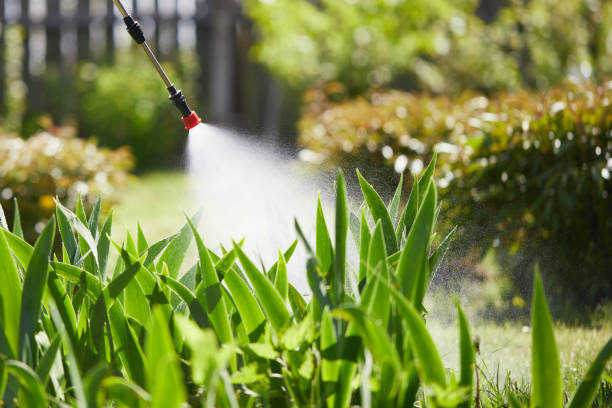 24/7 Emergency Cockroach Control experts in Middleville, MI